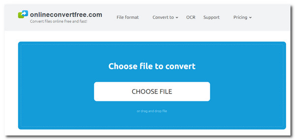 OnlineConvertFree Choose File
