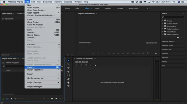 Splitscreen Adobe Import Video