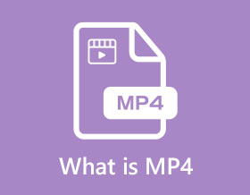 What is MP4