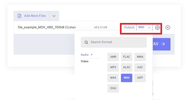 Formato di output FreeConvert