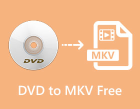 DVD to MKV Free