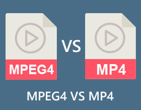 MPEG4 VS MP4