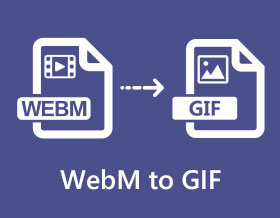 WEBM to GIF