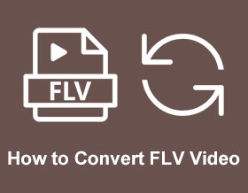 How to Convert FLV Video