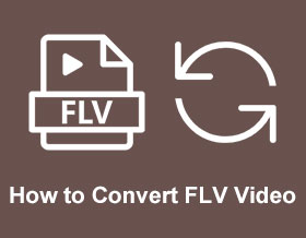 Jak převést FLV video
