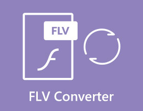 FLV to AVI Converter