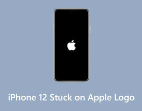 iPhone 12 Stuck on Apple Logo