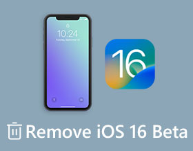 Remove iOS 16 Beta