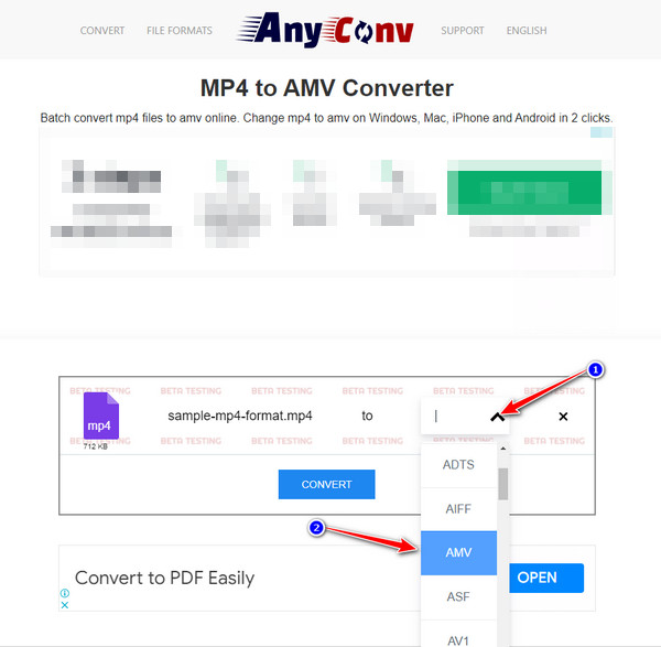 AnyConvSelect AMV Format