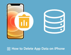 How to Delete App Data on iPhone