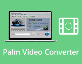 Palm Video Converter