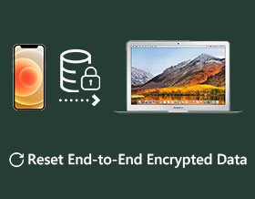 Reset End to End Encrypted Data