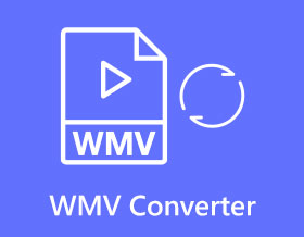 WMV Converter