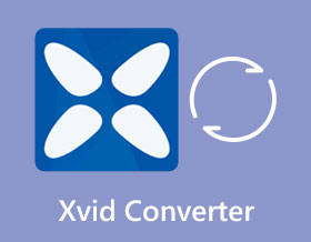 XVid Converter
