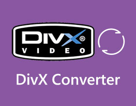 DivX Converter