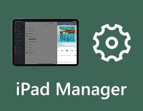 iPad Manager