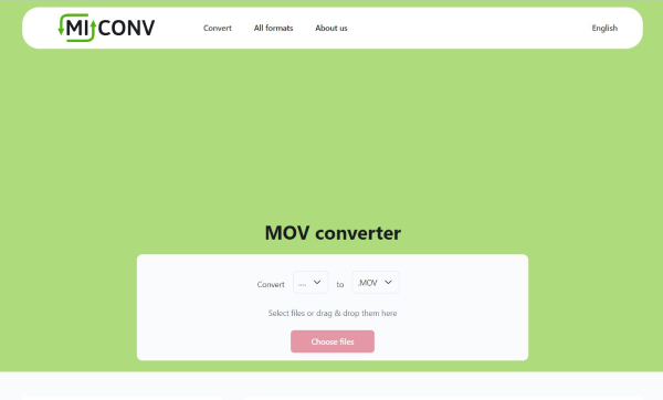 MiConv Interface