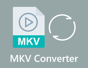 MKV Converter