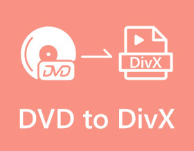 DVD to DivX