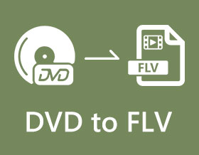 DVD to FLV s