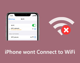 iPhone Wont Connect to Wifi s