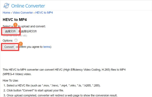 Online Converter Convert HEVC to MP4