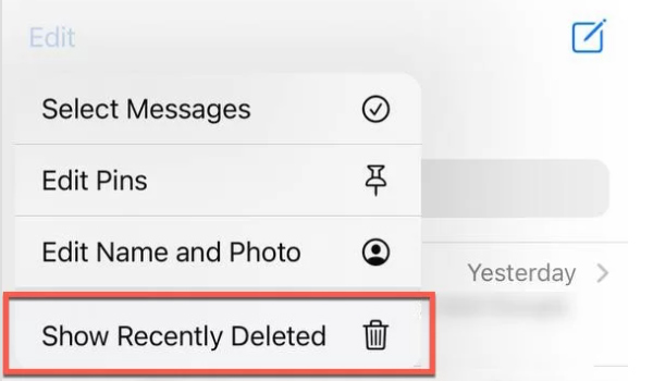 Show Recent Delete in Message
