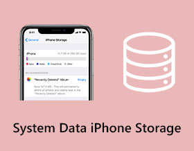 System Data iPhone Storage s