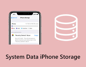 System Data iPhone Storage s