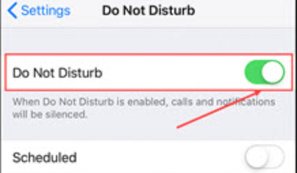 Check Do Not Disturb