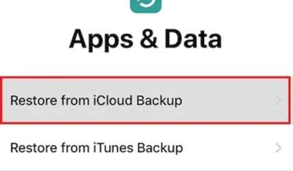 Restore From iCloud Backup
