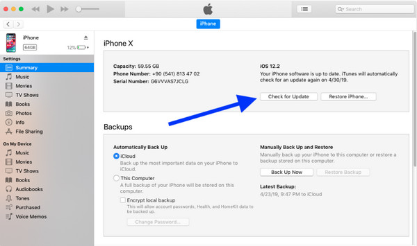 Kemas kini dengan iTunes