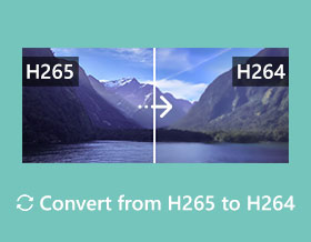 Convert from H265 to H265