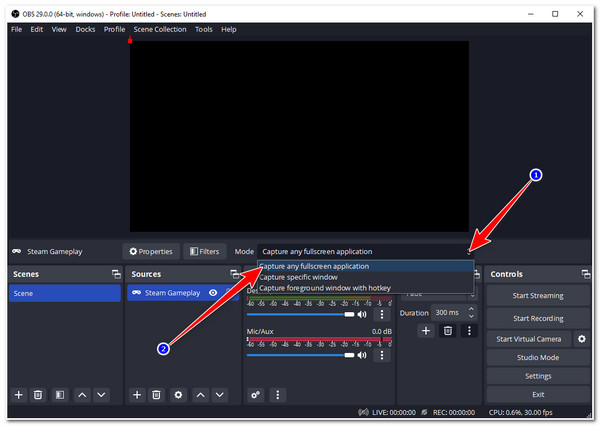 Nagraj film Steam OBS Wybierz Pełny ekran