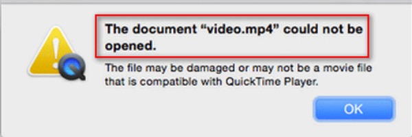 Why is QuickTime Cannot Open MP4