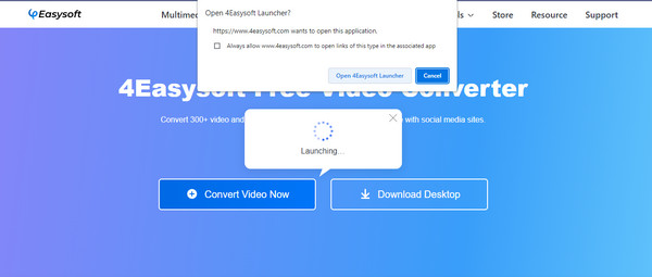 4Easysoft Online Launcher