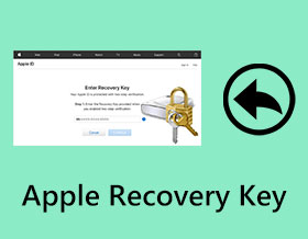 Apple Recovery Key s