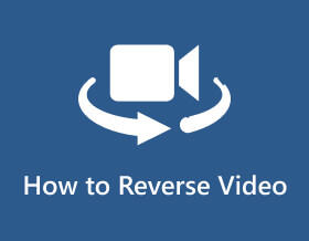 How to Reverse Video s
