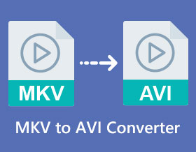 MKV to AVI Converter s