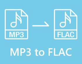 MP3 to Flac s