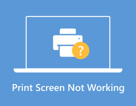 Print Screen Not Working s