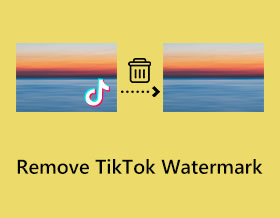 Remove TikTok Watermark s
