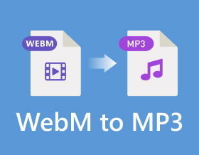 WebM to MP3