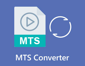 MTS muunnin