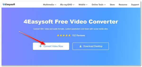 VLC to MP4 4Easysosft Free Converter Click Convert Now Button