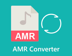 AMR Converter