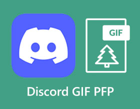 Discord GIF PFP