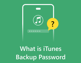 What is iTunes Backup Password