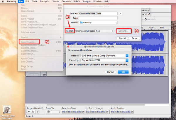 Audacity Select Format