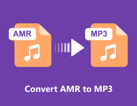 Convert AMR to MP3